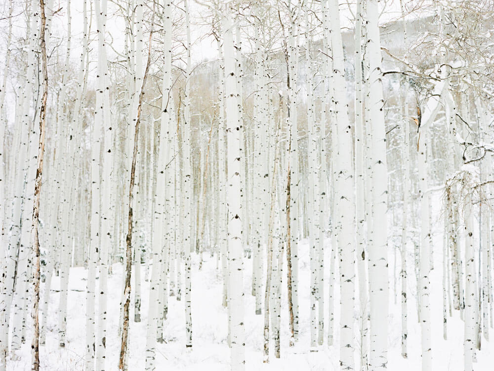 Aspen Winter Wedding photography by Tara Marolda
